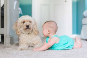 10 Dog Breeds That Are Amazingly Gentle With Kids