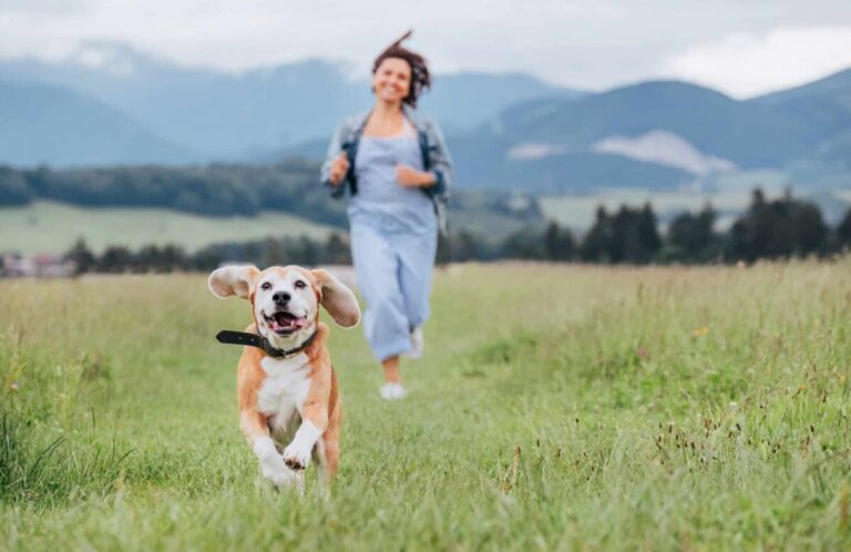 11 Dog Breeds That Can Help You Reach Your Health
Goals