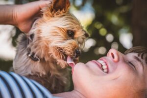 9 Unexpected Ways Your Dog Is Making You More
Empathetic