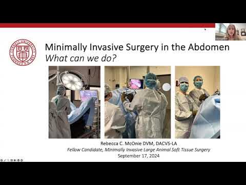 Minimally Invasive Surgery in the Abdomen (Cornell Equine
Seminar, September 2024)