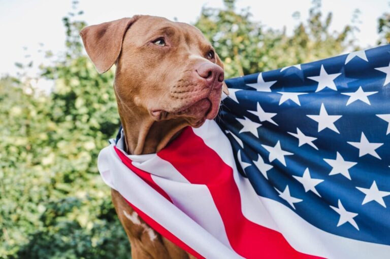 16 Dog Breeds Proudly Made In The USA