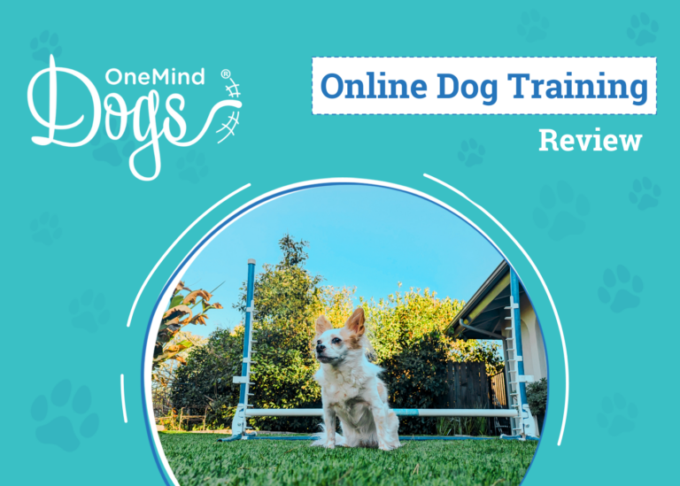 OneMind Dogs Online Training Review 2024: Lorelei Goes Back
To School