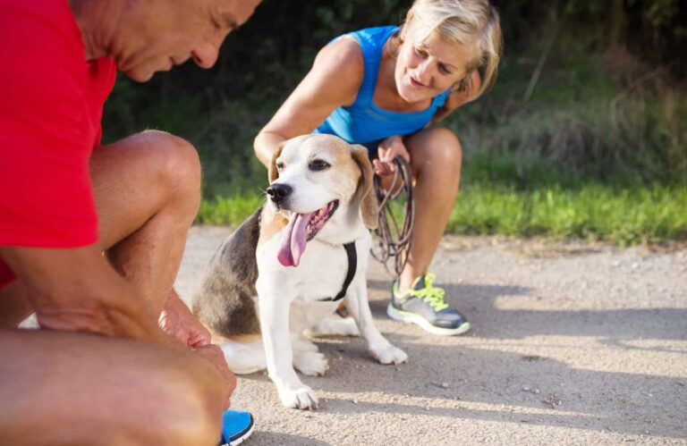 9 Comforting Ways Dogs Bring Joy To Seniors’ Lives