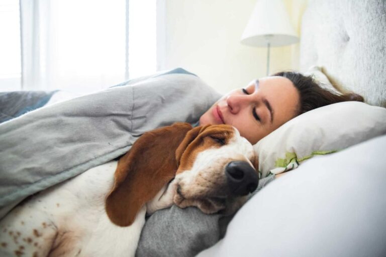 9 Heartfelt Reasons Dogs Are the Ultimate Comforters