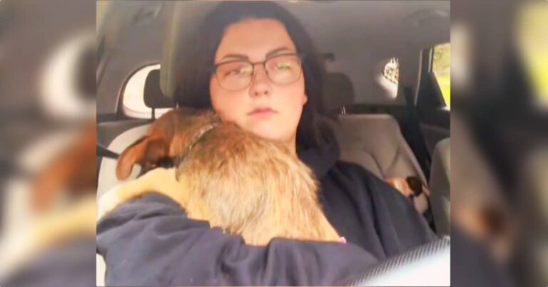 Dog Terrified Of Car Rides Because Of His Past Clings
Tightly To Mom