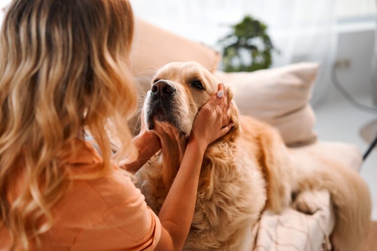 How Do I Know If My Dog Is Healthy? Our Vet Discusses 12
Ways to Tell