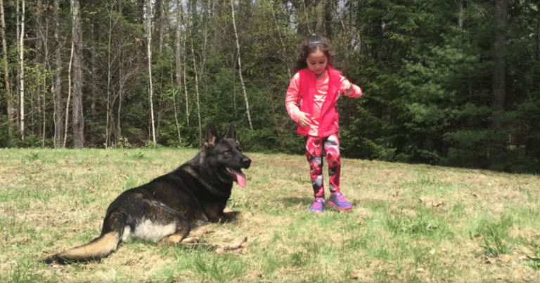 ‘Playful’ Dog Turns Protector When Little Girl Signals,
Stopping an Attacker