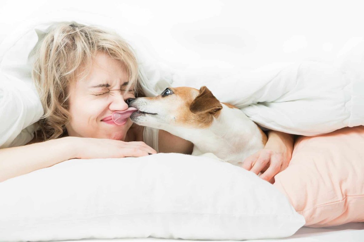 Top 9 Ways Dogs Bring Comfort in the Most Beautiful
Ways